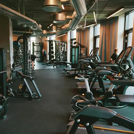 The Forest By Daniel&jacob's